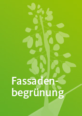 Download Merkblatt Fassadenbegrünung