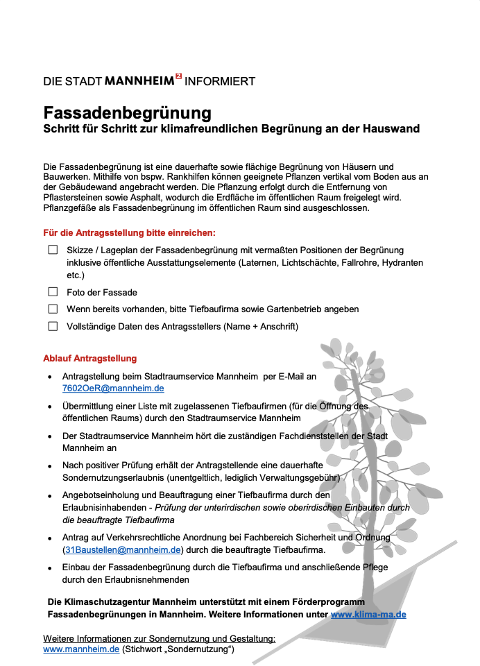 Download Blumme & Bääm